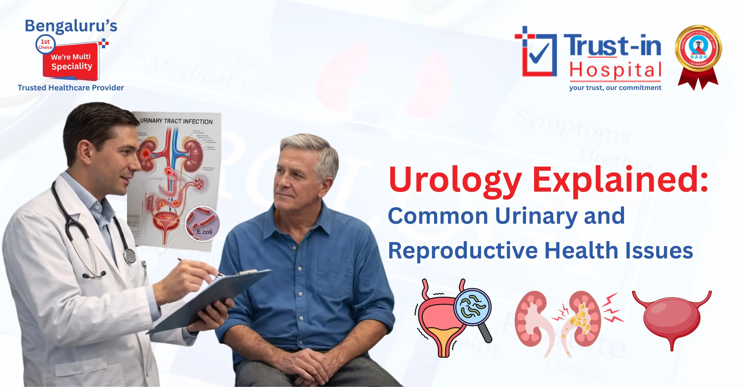 Urology Explained: A Practical Guide to Urinary and Reproductive Health
